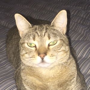 Meet your Posher, Sandra